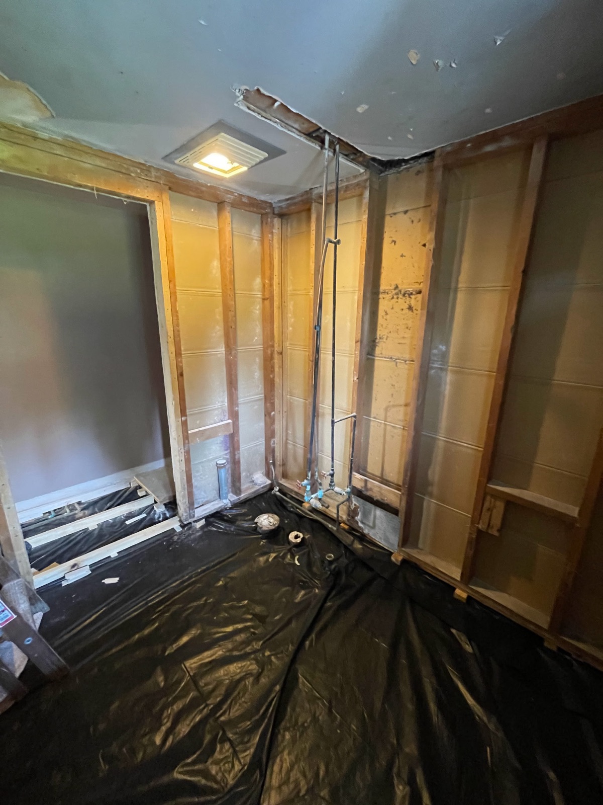 Bathroom before renovation — gutted to the studs